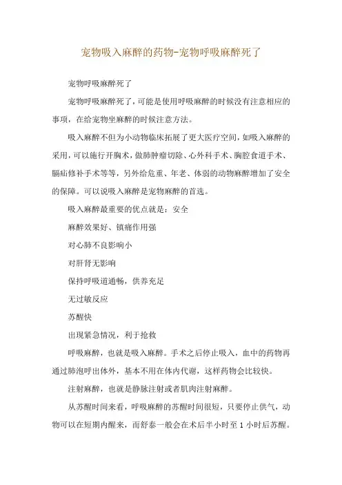 宠物吸入麻醉的药物-宠物呼吸麻醉死了