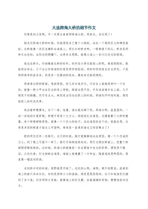 大连跨海大桥的细节作文