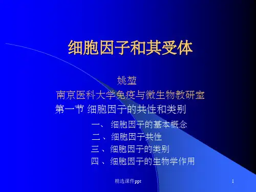 《细胞因子和受体》PPT课件