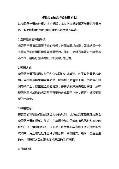 虎眼万年青的种植方法