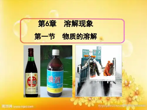 沪教版九年级化学第六章第一节物质的溶解