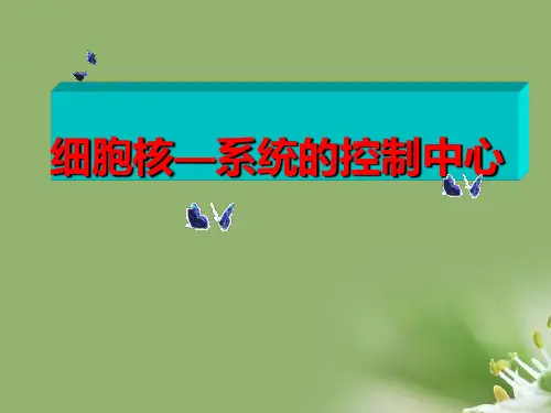 细胞核 18张ppt精选教学PPT课件