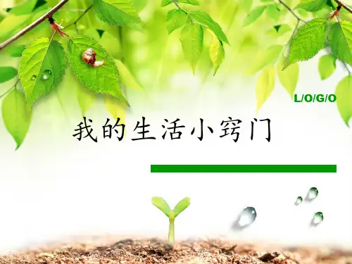 生活中的小窍门PPT课件