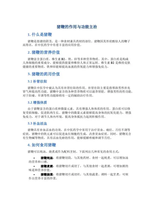 猪鞭的作用与功能主治