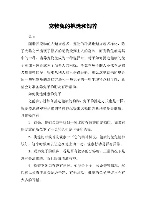 宠物兔的挑选和饲养