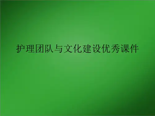 护理团队与文化建设优秀课件