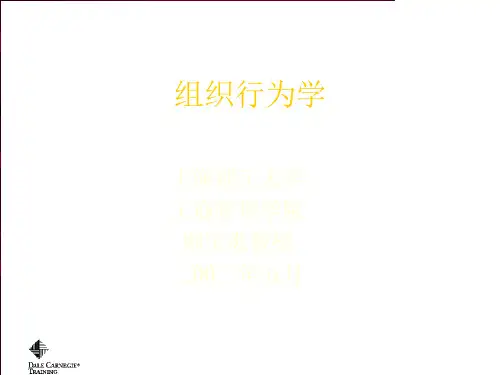 组织行为学讲义上海理工大学