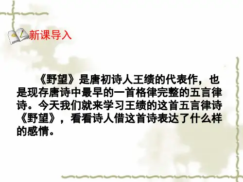 13、唐诗五首 野望