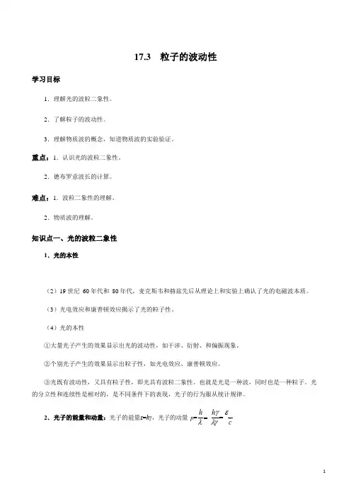 17.3 粒子的波动性(解析版)