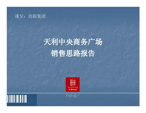 中央商务广场销售思路报告