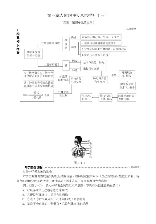 七年级生物下册第四单元第三章人体的呼吸总结提升(三)(新版)新人教版.docx