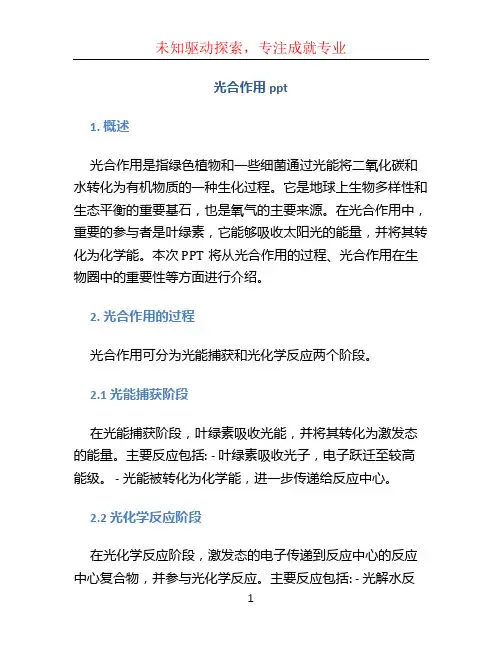 光合作用ppt