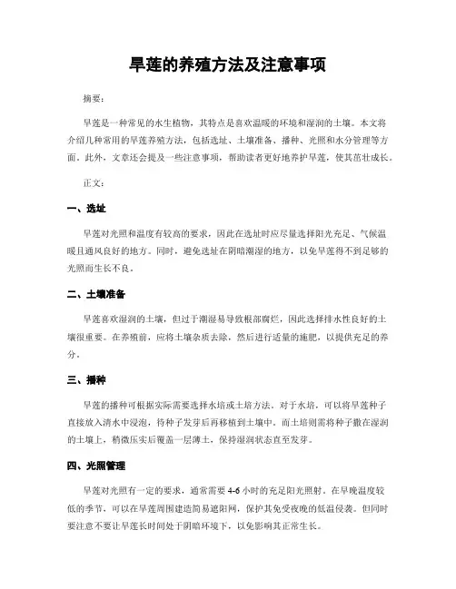 旱莲的养殖方法及注意事项