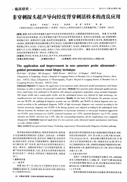 非穿刺探头超声导向经皮肾穿刺活检术的改良应用