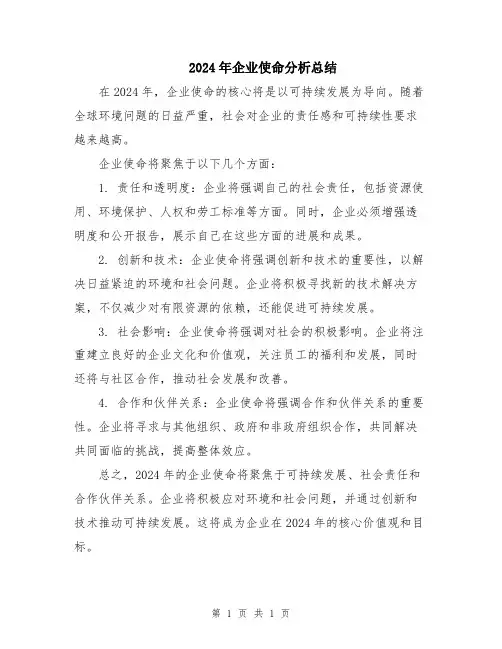 2024年企业使命分析总结