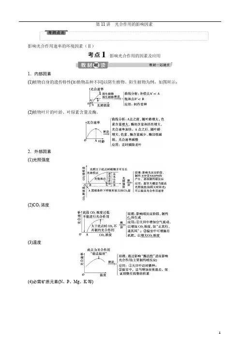 备战2020年高考生物一轮复习第11讲 光合作用的影响因素 讲义