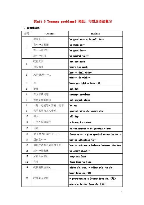 江苏省永丰初级中学九年级英语上册《Unit 3 Teenage problems》词组、句型及语法复习 牛津版