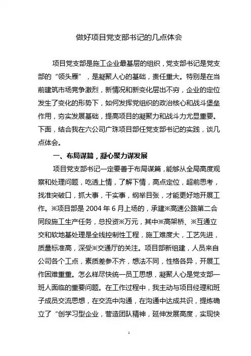 做好项目党支部书记的几点体会
