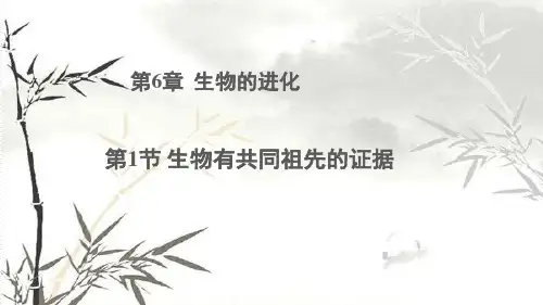 人教版高一必修二生物有共同祖先的证据课件