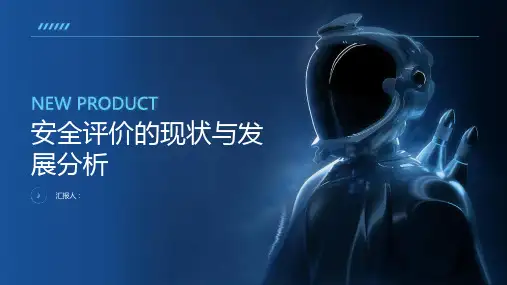 安全评价的现状与发展分析