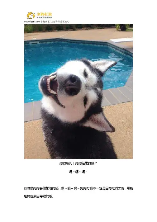 狗狗打嗝知识