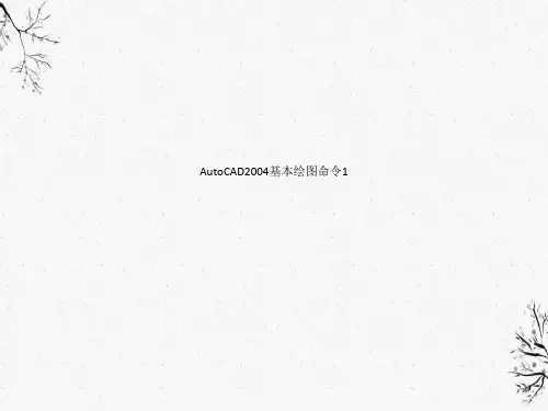 AutoCAD2004基本绘图命令