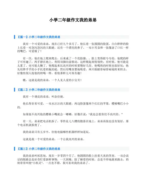 小学二年级作文我的弟弟