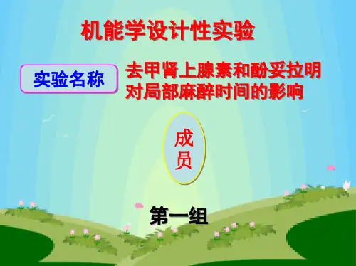 机能学设计性实验PPT最终