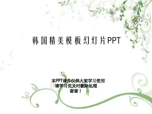 韩国精美模板幻灯片PPT