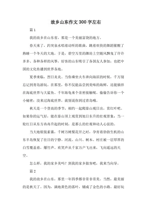 故乡山东作文300字左右