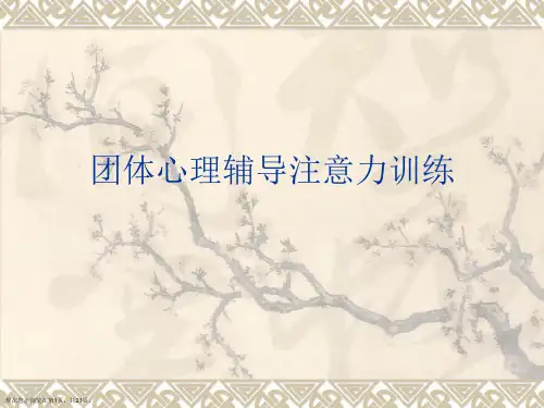 团体心理辅导注意力训练PPT课件