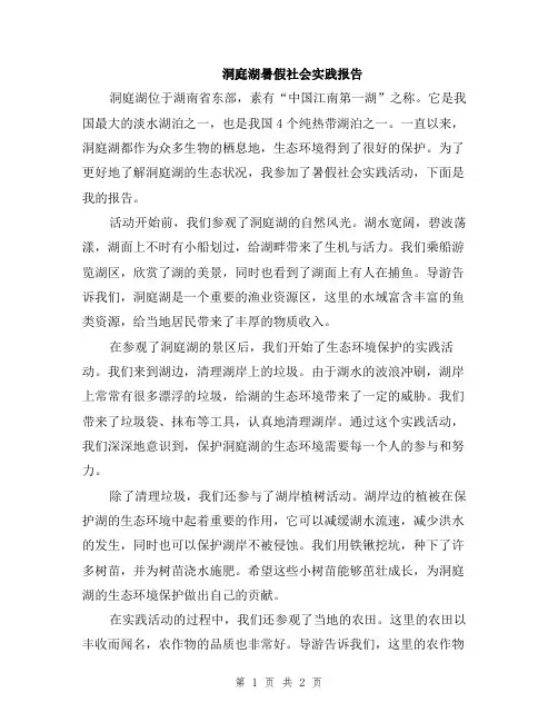 洞庭湖暑假社会实践报告