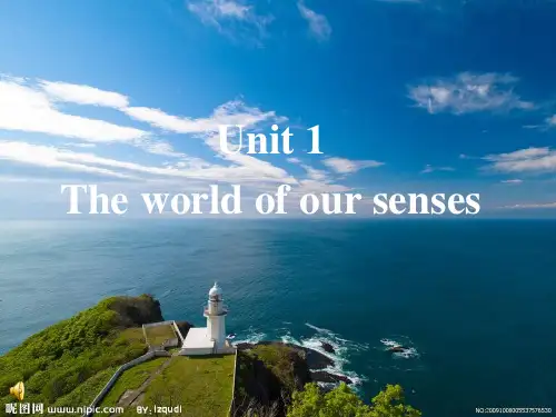高一牛津译林英语必修三课件：Unit 1 The world of our senses Project(共22张PPT)