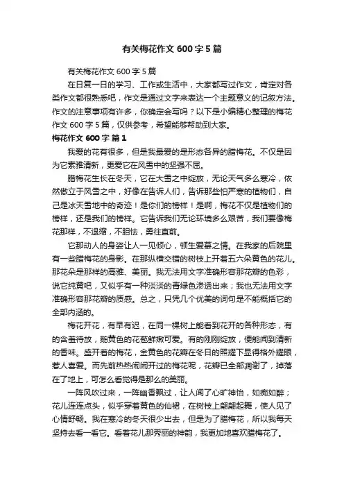 有关梅花作文600字5篇
