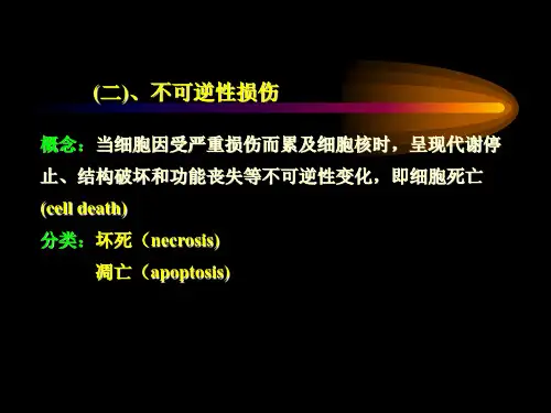 细胞死亡(cell death)
