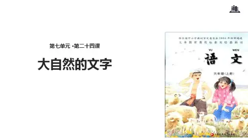 六年级上册语文课件24大自然的文字∣苏教版(共15张PPT)
