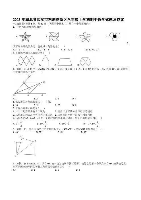 2023年湖北省武汉市东湖高新区八年级上学期期中数学试题及答案