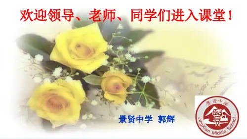 语文人教版九年级下册中考小说阅读——人物形象分析复习课教案