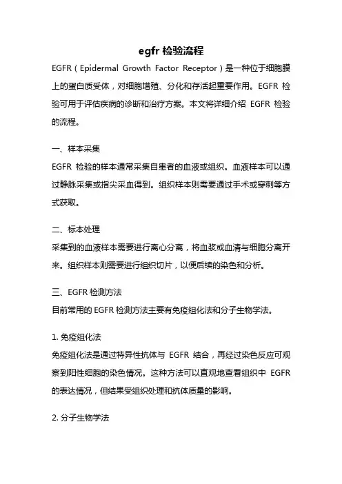 egfr检验流程