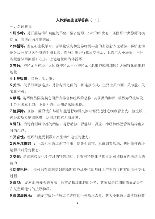 人体解剖生理学答案一
