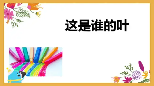 最新教科版一年级科学上册《这是谁的叶》精品教学课件