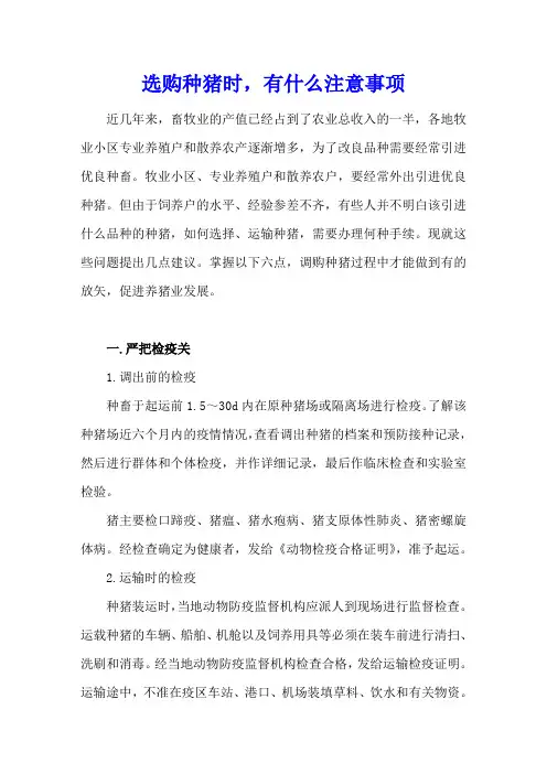 选购种猪时,有什么注意事项