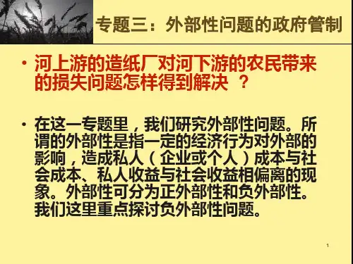 公共规制经济学专题三外部性问题的政府管制