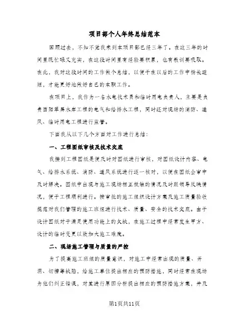 项目部个人年终总结范本（5篇）