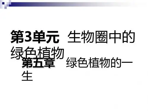 【苏教版】七年级生物上册：3.5.2《植物根的生长》ppt教学课件