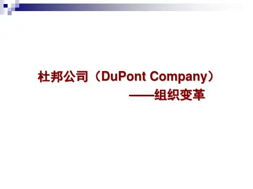 杜邦公司的组织变革(分析)