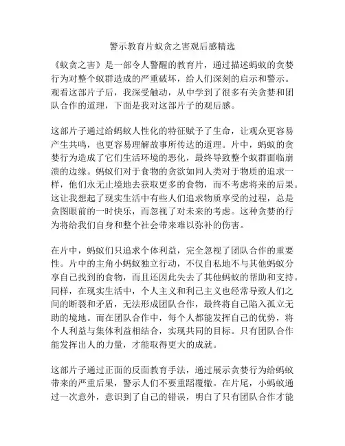 警示教育片蚁贪之害观后感精选