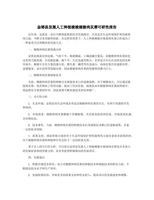 金塔县发展人工种植梭梭嫁接肉苁蓉可研性报告
