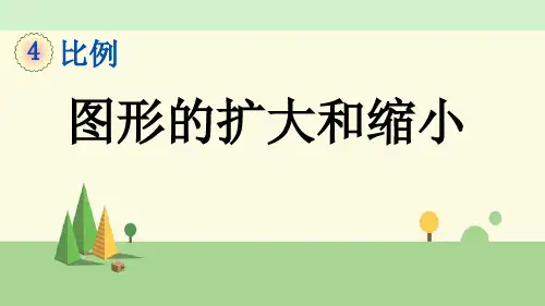 苏教版数学六年级下册    图形的扩大和缩小