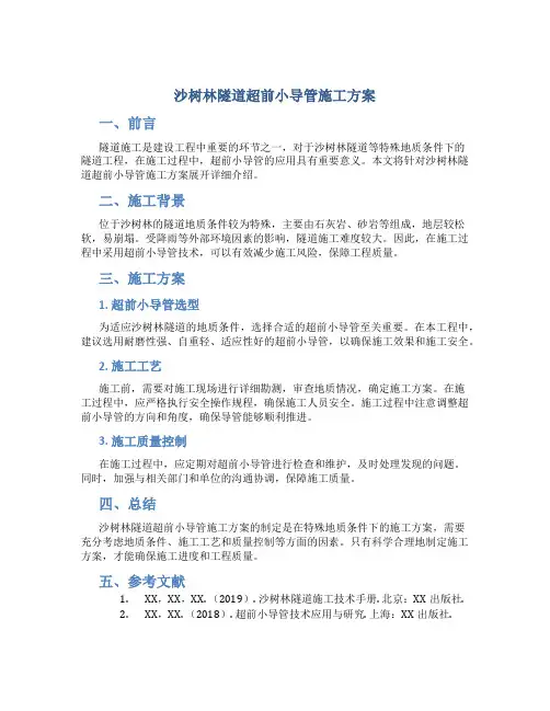 沙树林隧道超前小导管施工方案